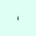 vomer
