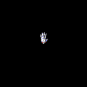 HAnimModelHandLeft