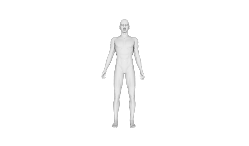 [1] BodySkinIndexedFaceSetNIST.x3d Human body modeled by NIST, 1.8m tall